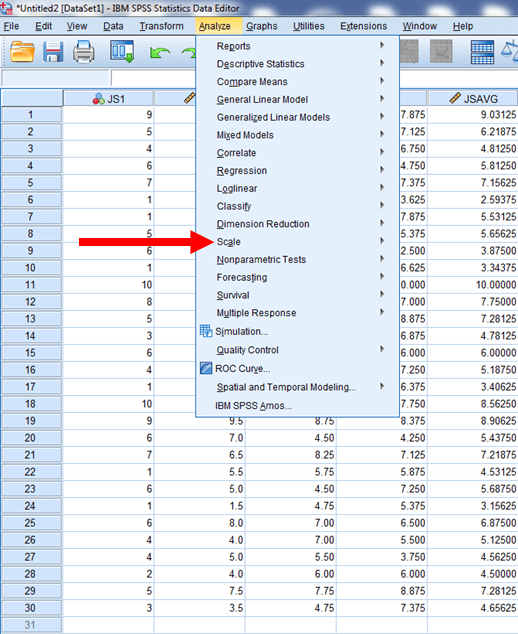 Cronbach Alpha in SPSS 3