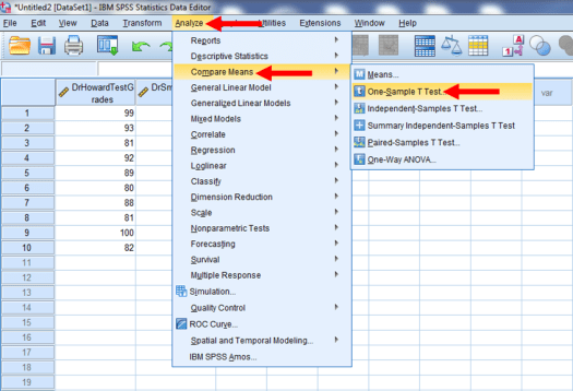 One-Sample T-Test in SPSS 2