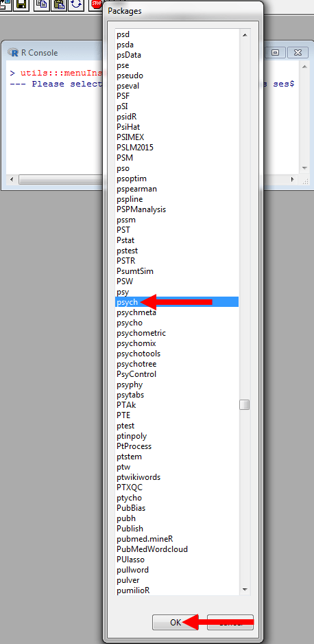 Installing Packages in R 3